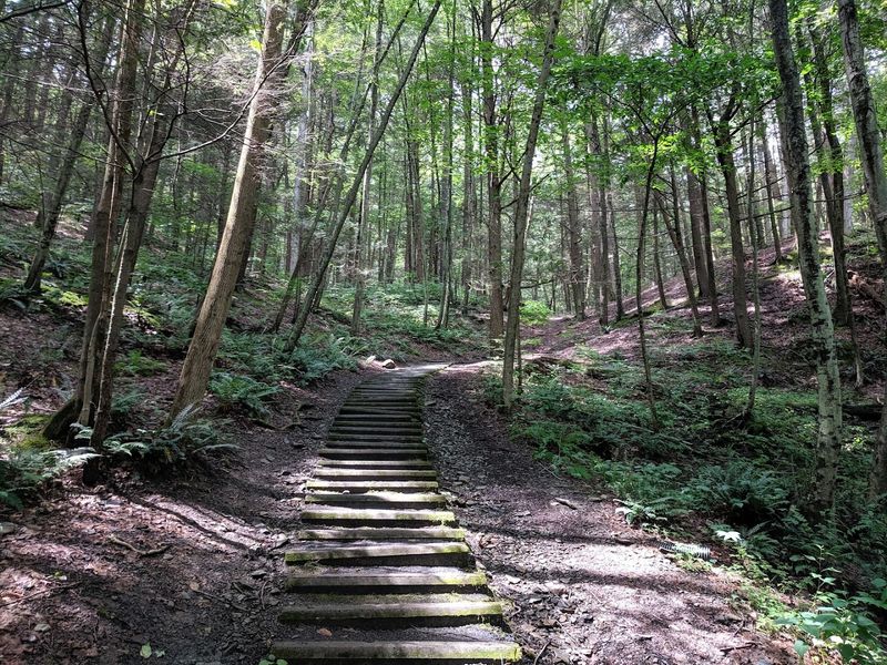 Trail Tips And What To Bring For The Full Loop
