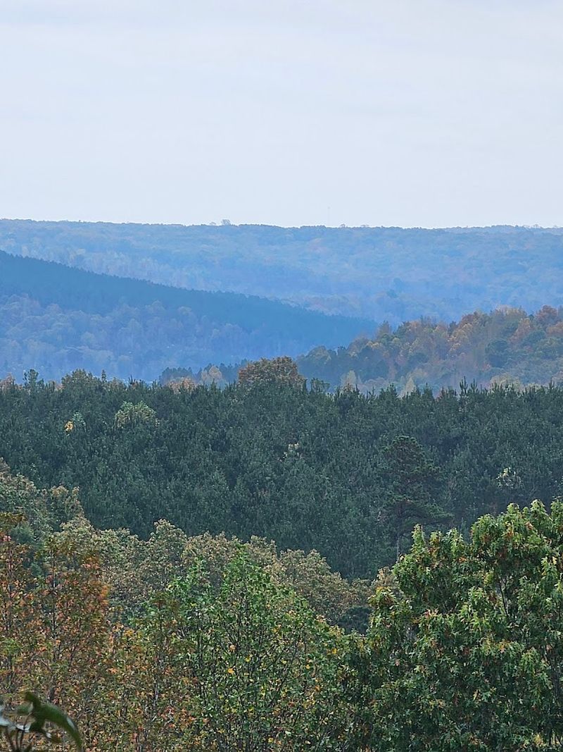 Freedom Hills Overlook Views