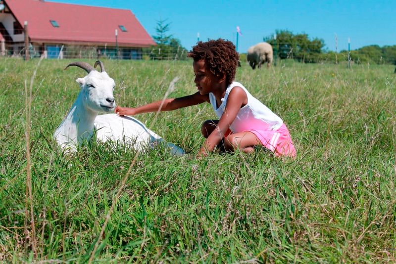 Many Animals Arrive After Neglect, Injury, Or Abandonment