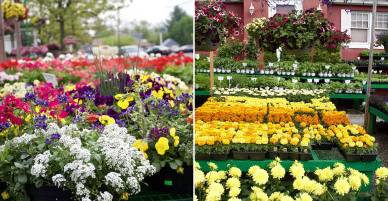 The Secret New Jersey Farm Stand That Has Become A Local Favorite For Fresh Produce