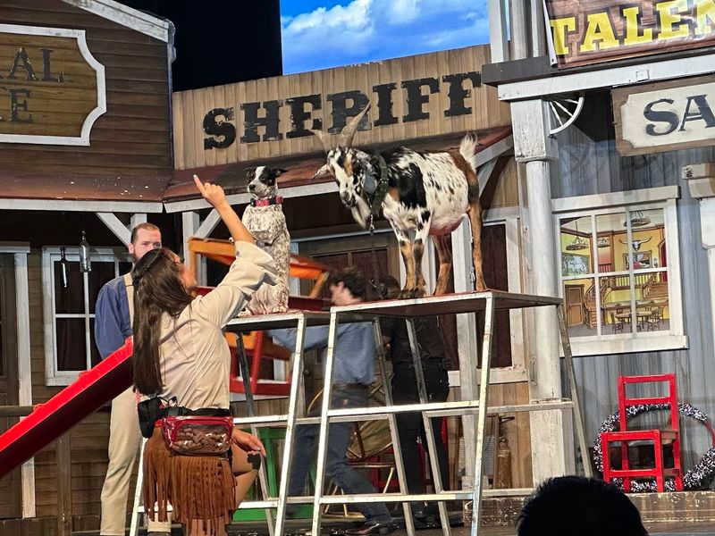 Live Animals Add To The Wild West Chaos