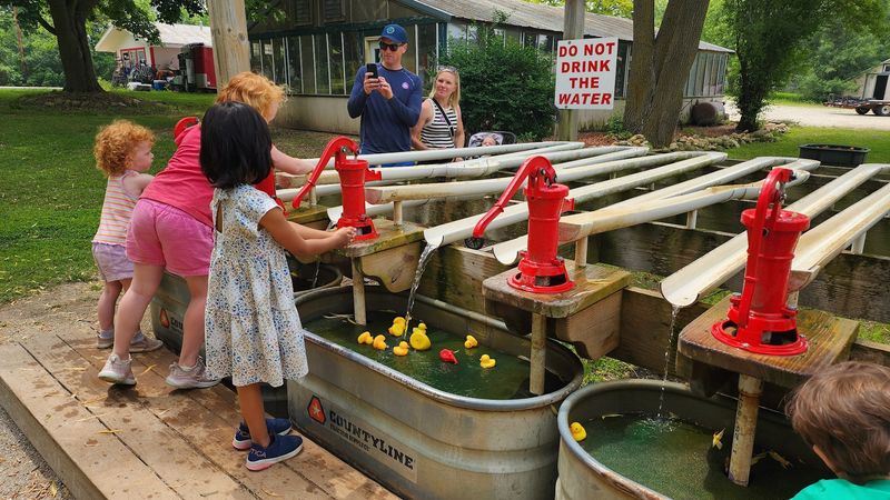 The Large Play Area Turns The Visit Into More Than Animal Time