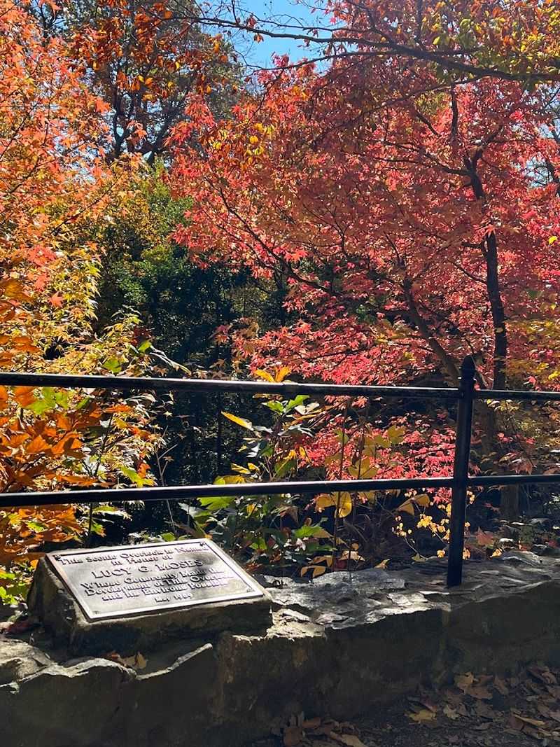 Best Times To Visit And What To Expect