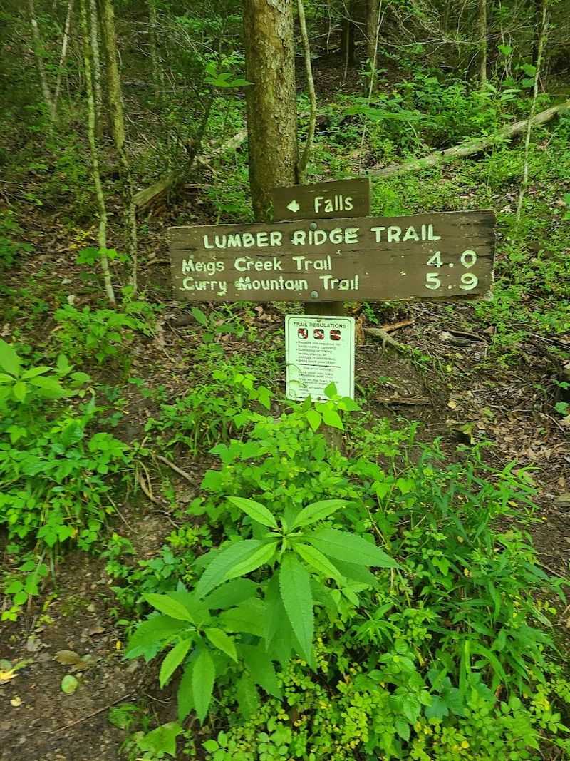 Where The Trail Begins And Why The Trailhead Matters