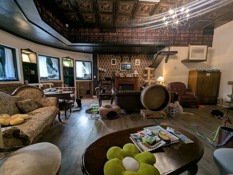 A Victorian Library Setting That Feels Like Home
