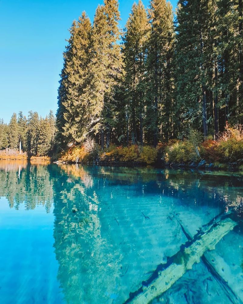Water Clarity That Defies Belief