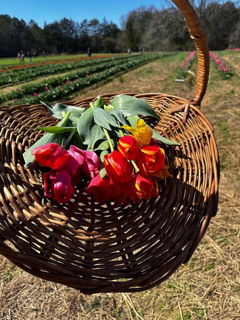 Pick-Your-Own Flowers And The Joy Of Building Your Own Bouquet