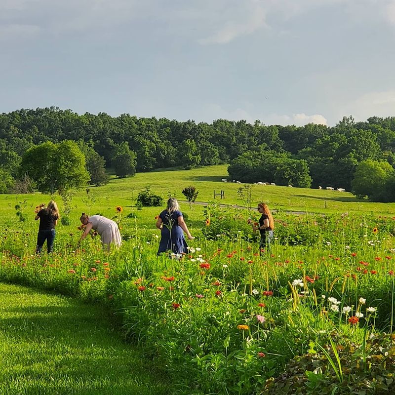 This Tennessee Farm Has Everything You Need For A Perfect Morning Outside
