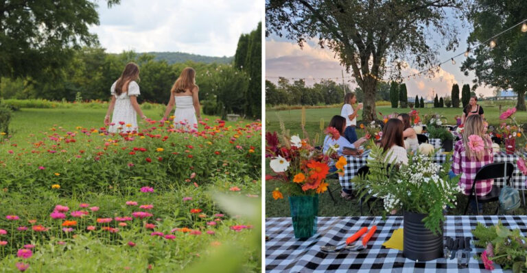 The Tennessee Farm Where You Can Spend A Morning Picking Berries And Fresh Flowers