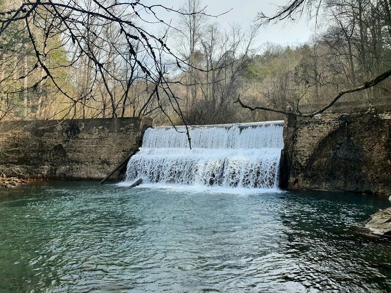 Julia Falls Itself And The Conditions That Bring It To Life