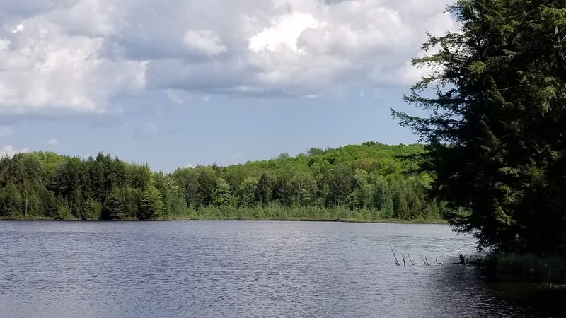 Bass Lake Adds A Scenic Bonus Below The Hill