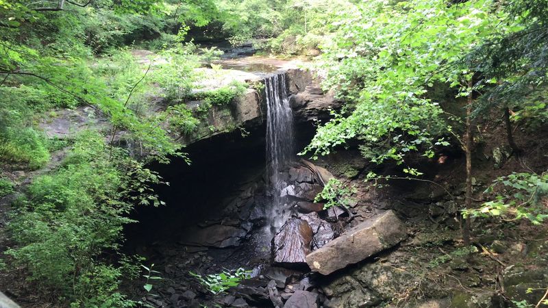 Below The Door Lies A Gorge That Feels Like A Separate Ecosystem