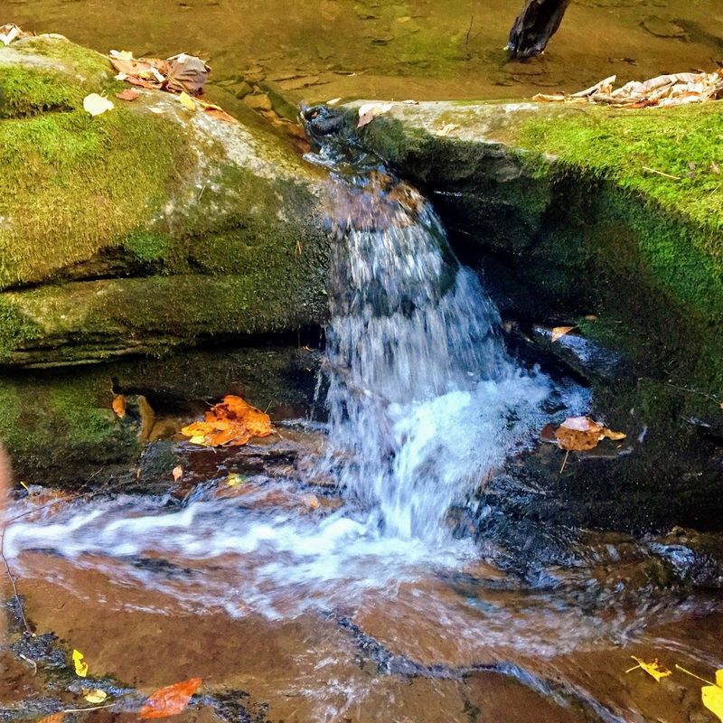 Dry Creek And Its Parade Of Small Waterfalls