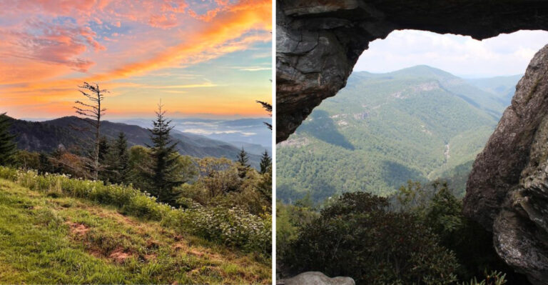 The Trails On These 9 North Carolina Hikes Are More Interesting Than Anything On Your Screen