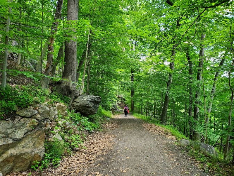 Firefly Walk Events That Make It Official