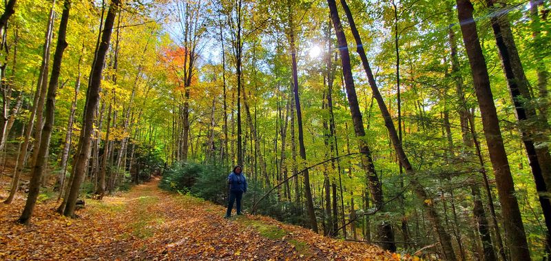 The Quiet Setting Feels Far Removed From Busy Tourist Trails