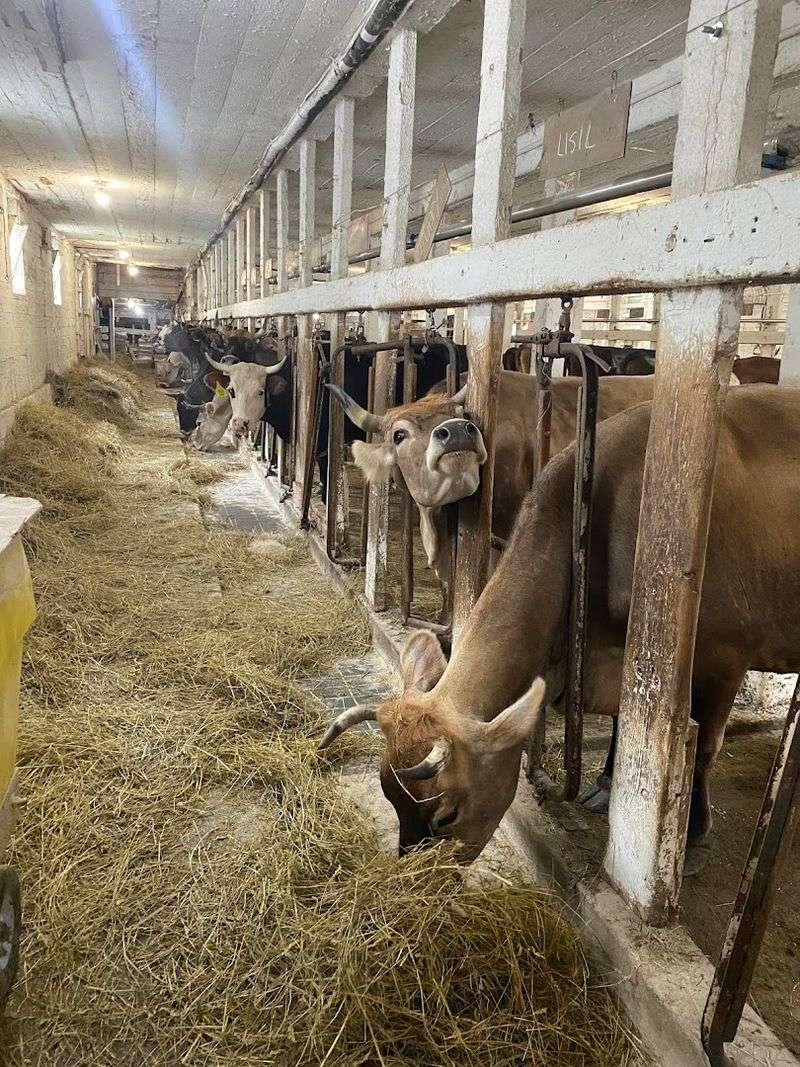 A Creamery That Earns Its Shelf Space