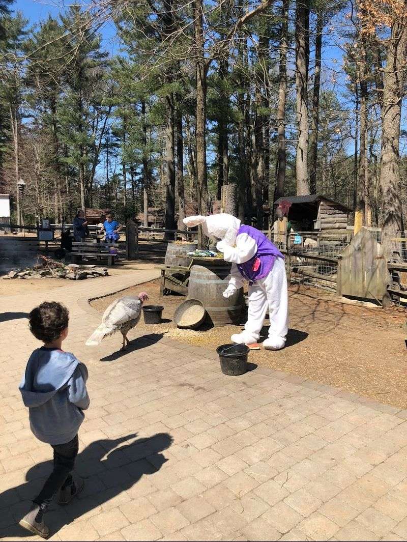 Family-Friendly Activities That Go Beyond A Basic Farm Visit