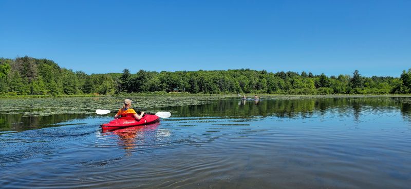 What Pliska's Brings To The Water