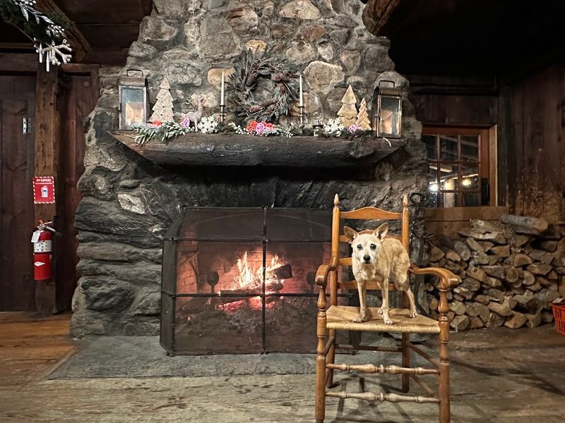 The Warm And Rustic Interior Atmosphere