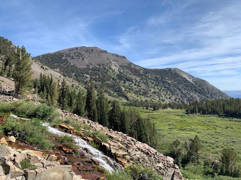 A Gentle Opening Climb Quickly Reveals Tahoe Meadows