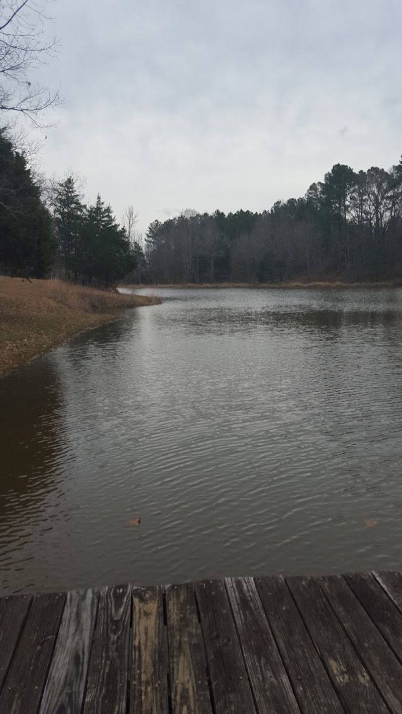 Lakes, Trails, And The Great Outdoors Nearby