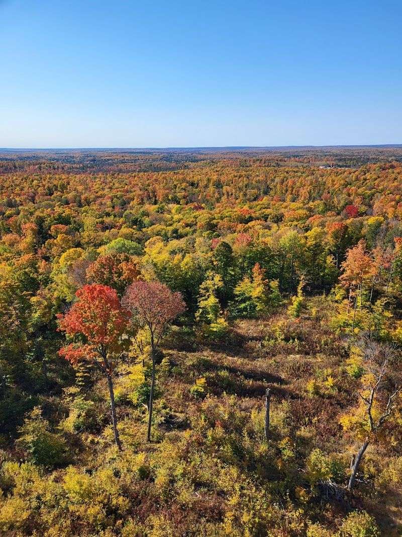 More Than 1.5 Million Acres Stretch Across Wisconsin's Northwoods