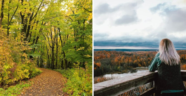 The Wisconsin Trail Most People Skip Leads To A Tower With Views Stretching Across The Entire Northwoods
