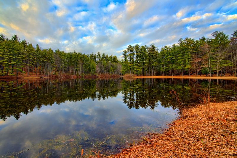 Pearl Hill Brook Pond And The Joy Of A Slow Summer Swim