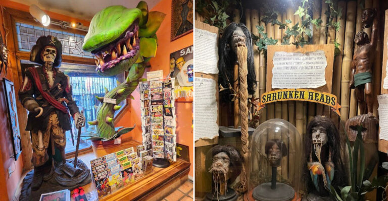 The Zombie Museum In Texas That Turns Horror Into A Fun And Quirky Experience