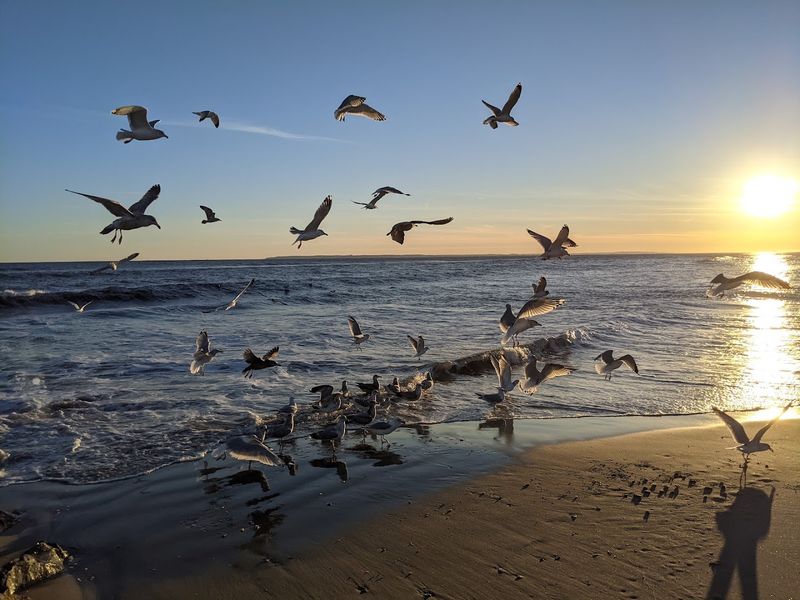 Fort Tilden Beach