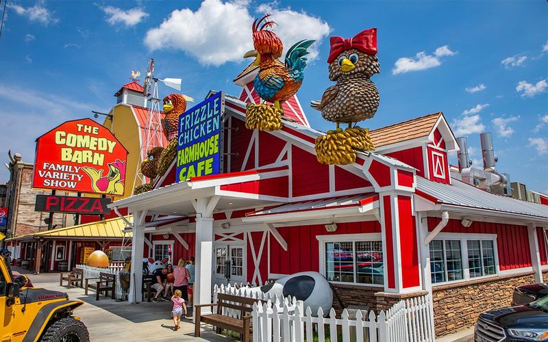 Frizzle Chicken Cafe, Pigeon Forge