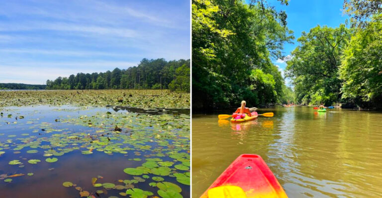 These 7 Mississippi Fishing Holes Have Never Been Properly Written Down And The Directions Are Only Given In Person