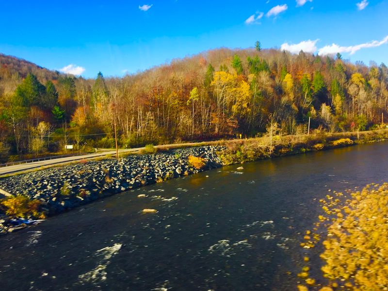 Beaverkill River