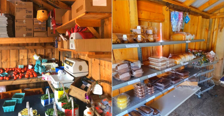 These 9 New York Amish And Mennonite Markets Make Homemade Food Worth The Road Trip In 2026