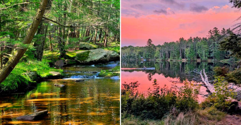 These 9 New York Campgrounds Near The City Have Stargazing So Good, Locals Keep Them Secret