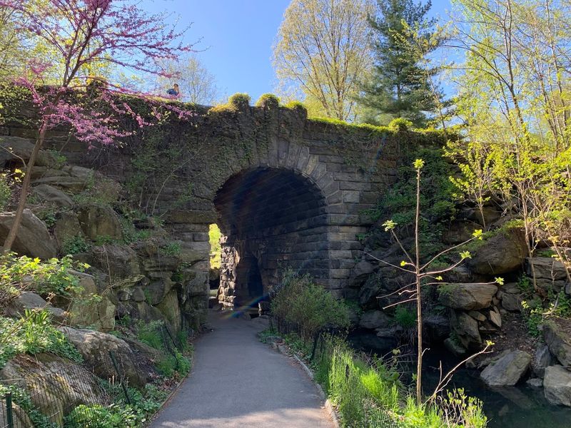 The Loch Trail