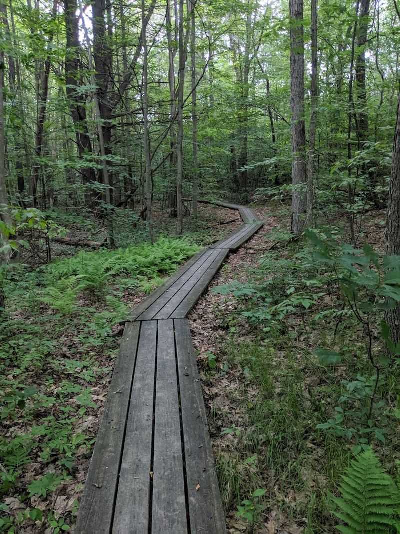 Finger Lakes National Forest: New York's Only National Forest
