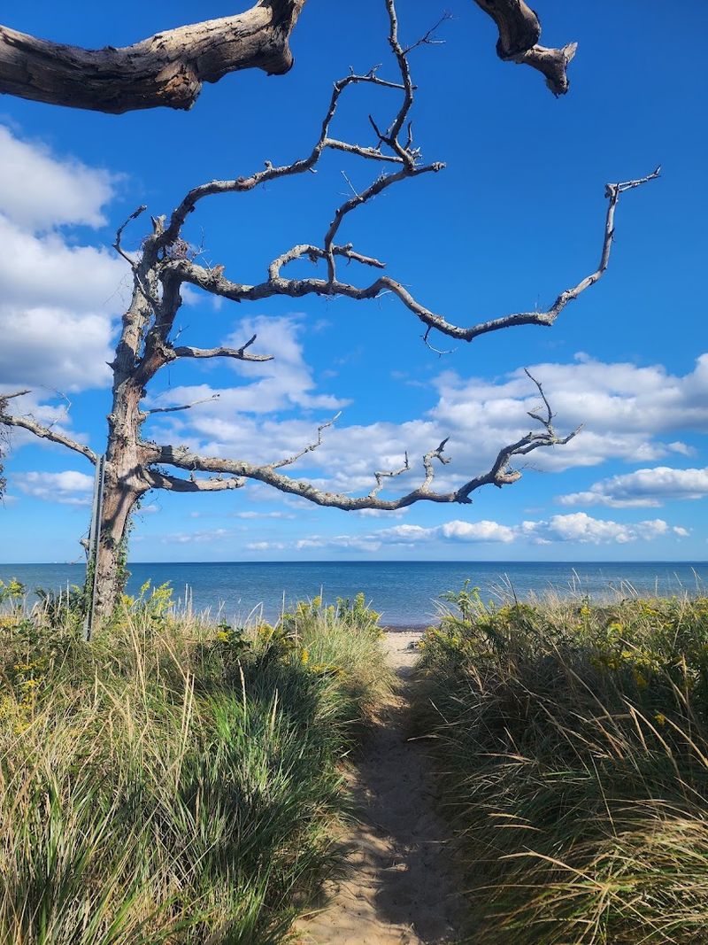 The Trail That Starts Simply And Delivers Beautifully