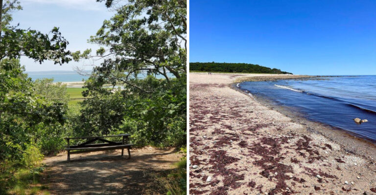 This 1-Mile Massachusetts Trail Ends At A Peaceful Forest And A Secluded Beach On Cape Cod Bay