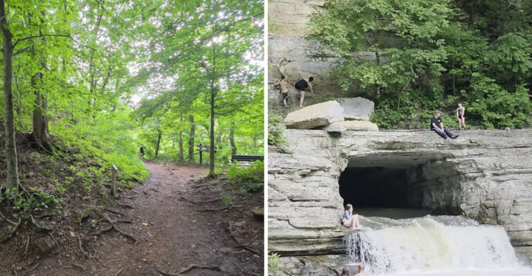 This 1-Mile Trail Is One Of The Most Unique Hiking Experiences In Tennessee