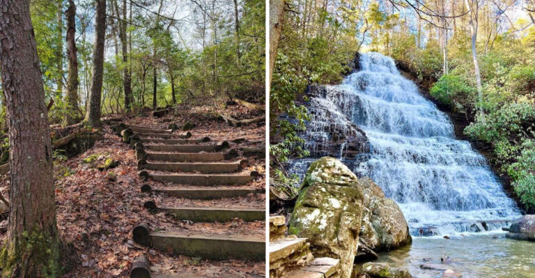 This 1.5-Mile Tennessee Trail Ends At A Magical National Forest And A Stunning 65-Foot Waterfall