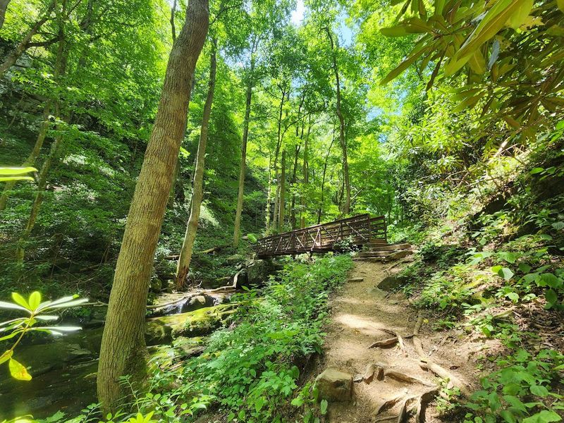The Trail That Starts Easy And Gets Honest Fast