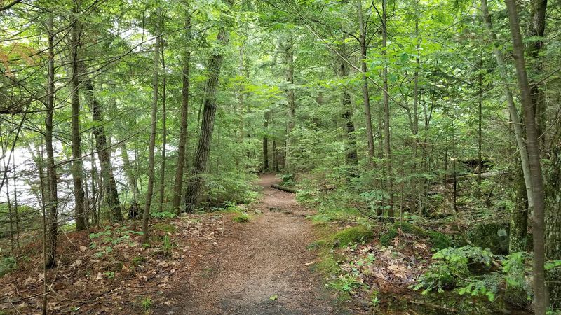 The Trail Is Considered Easy And Takes About 50 Minutes