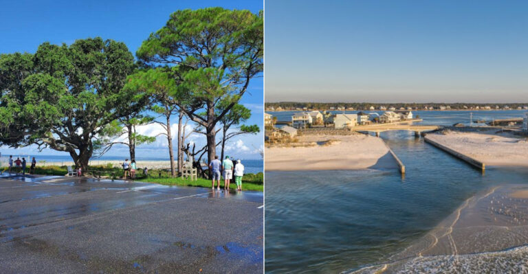 This Alabama Road Trip Winds Past Spanish Moss, A Historic Fort, And Gulf Coast Views