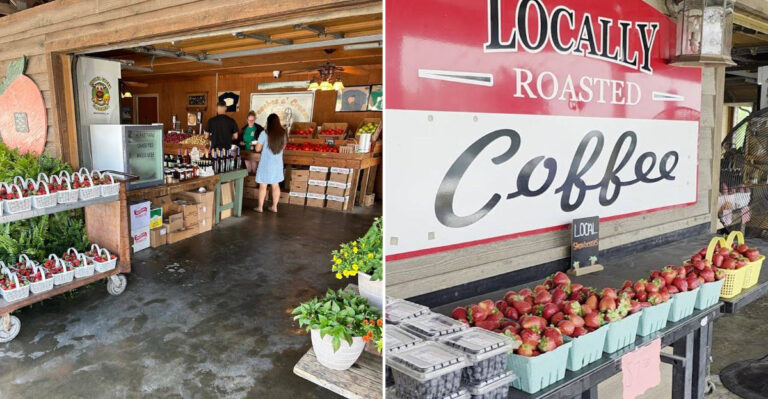 This Beloved North Carolina Roadside Stand Has Peach Cobbler That Keeps Visitors Coming Back