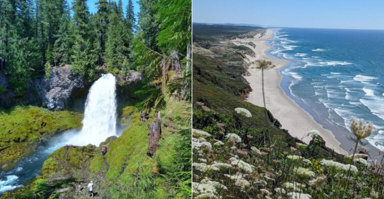 This Breathtaking Coastal Drive In Oregon Is Packed With Pull-Over-Worthy Views