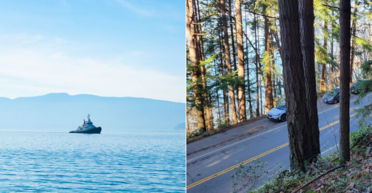 This Breathtaking Coastal Drive In Washington Is Packed With Pull-Over-Worthy Views