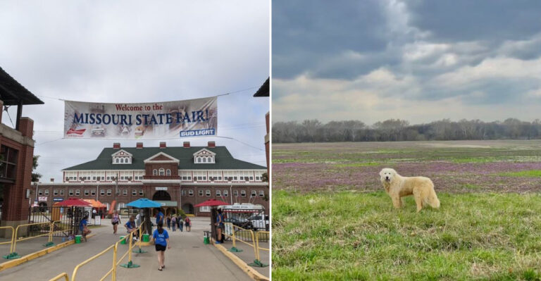 This Charming Missouri City Has Become A Quiet Retirement Haven For Budget-Conscious Residents