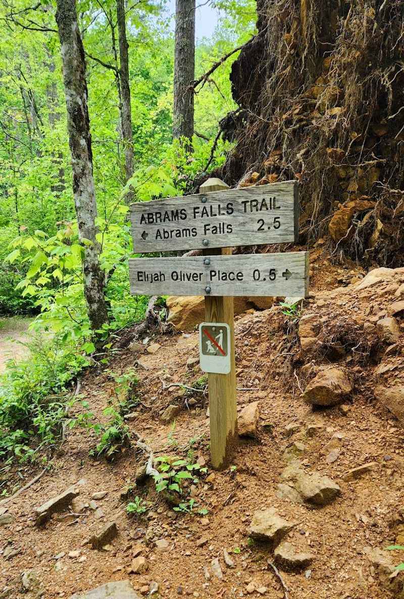The Trailhead And What To Expect Before You Start